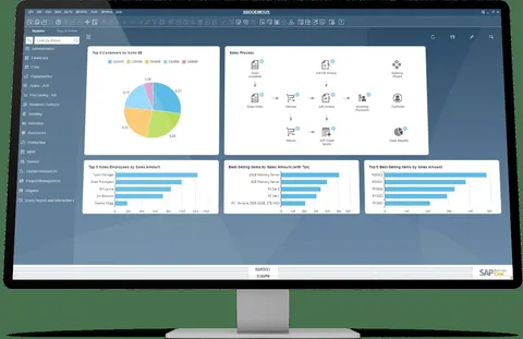 SAP Business One (SAP B1) 10.0 cockpit with sales dashboards and the visual sales process flow